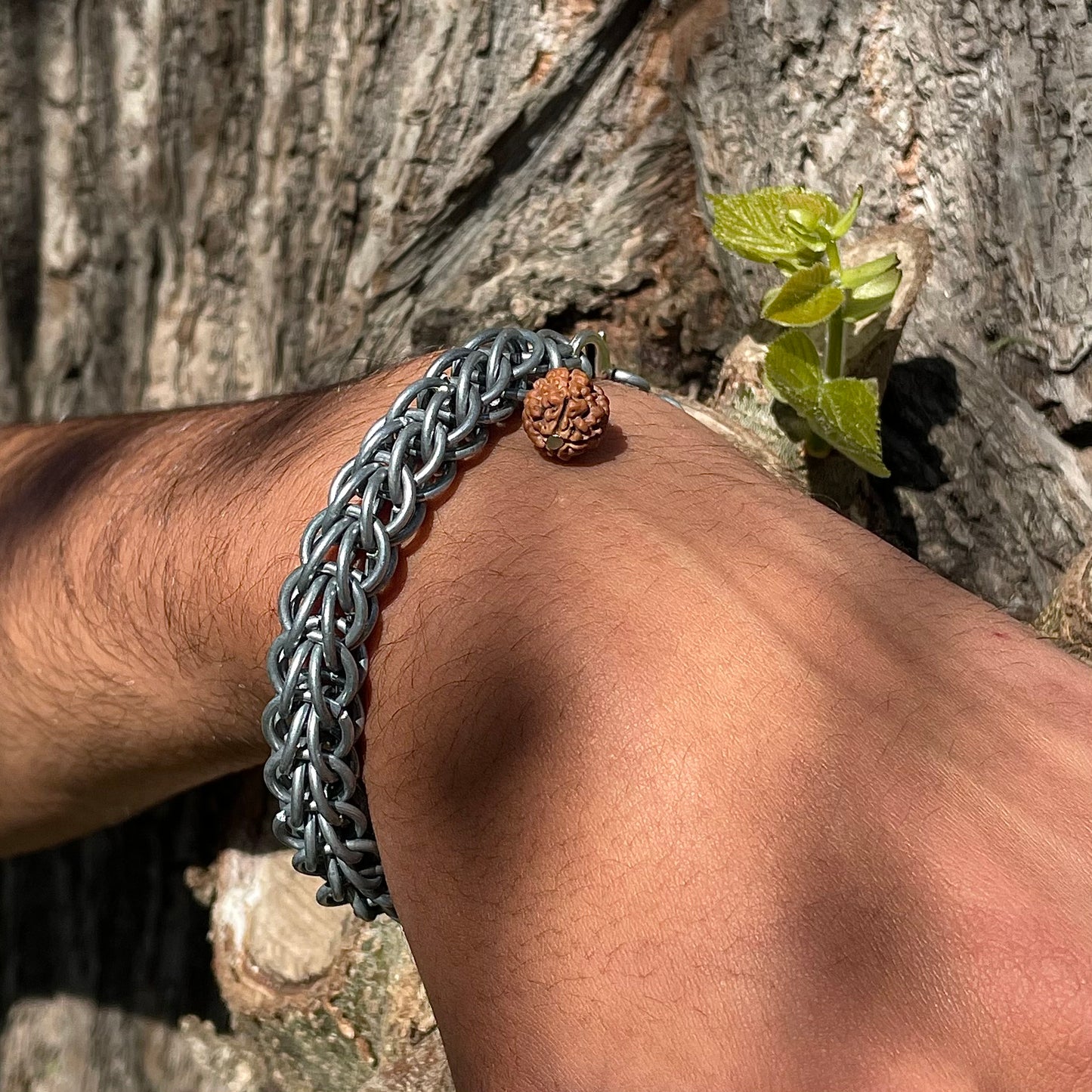SERPENT.DE.SHIVA.